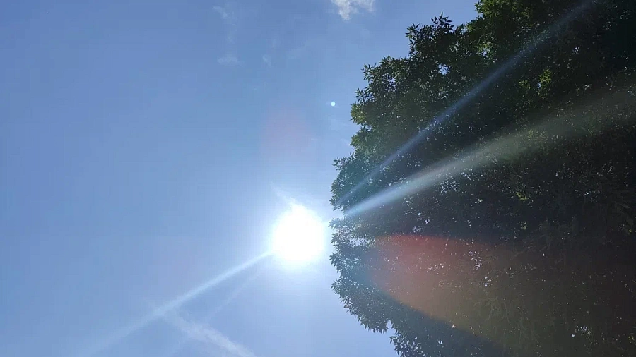 Аномальная жара накроет почти всю Россию на выходных