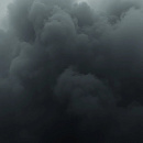 Вениамин Кондратьев назначил вице-губернатором Кубани Елену Воробьеву