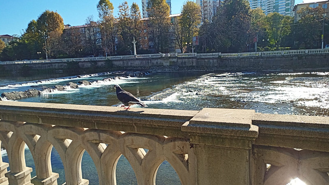 В Сочи на новогодние праздники россияне раскупили половину всех гостиничных мест 