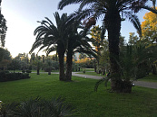 Сочи признают курортом федерального значения