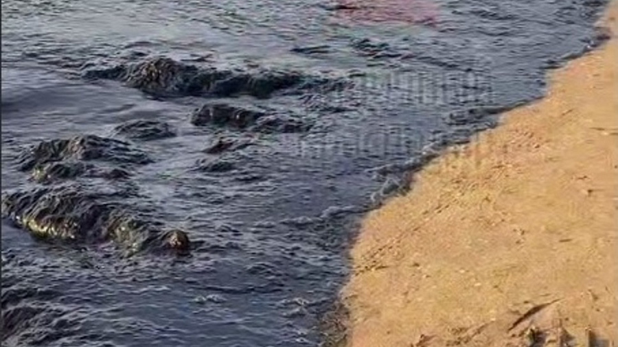 Море в Анапе окрасилось в черный цвет 