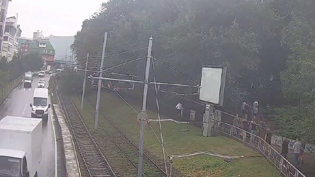 В Краснодаре упавшее дерево парализовало движение трамваев в районе Вишняковского сквера