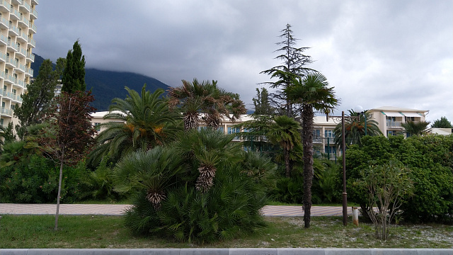 В Гагре и на курортах Абхазии в воскресенье ожидается влияние циклона с  «температурными качелями», дождем и мокрым снегом