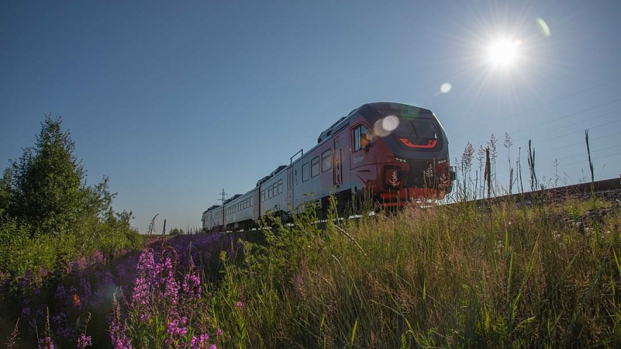20 детей, ехавших в поезде «Мурманск — Адлер», госпитализировали в Краснодарском крае с инфекцией