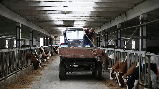 В Краснодарском крае темп роста валового регионального продукта с начала года составил 102,4 процента