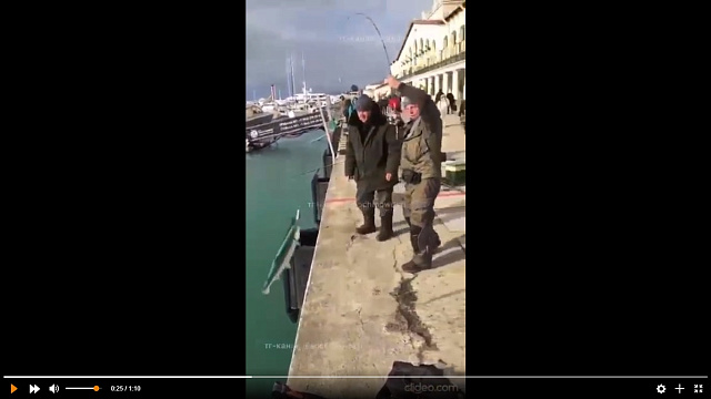 Тонны форели приплыли в порт Сочи после мощного шторма