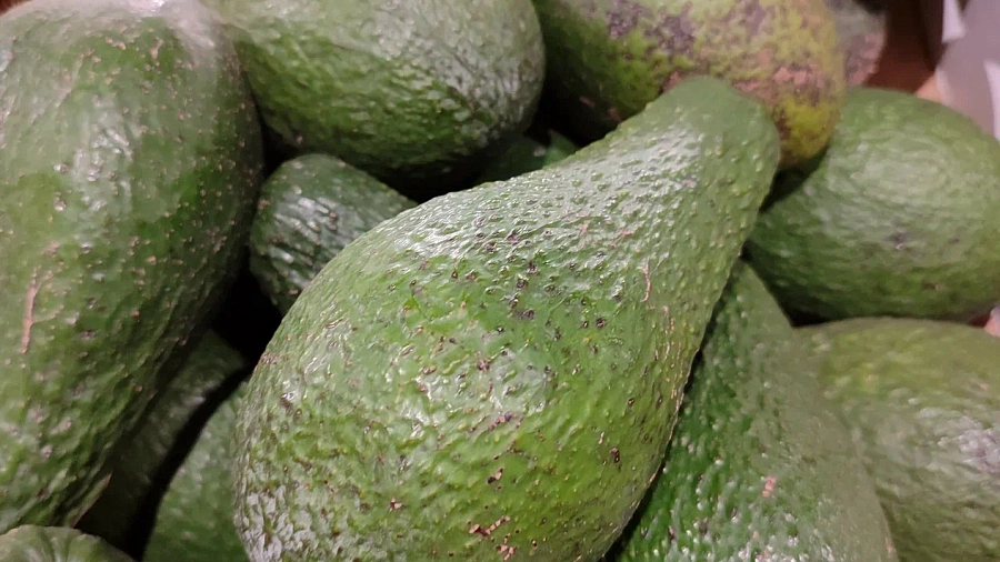 Назван жирный продукт, который борется с холестерином и сахаром лучше лекарств