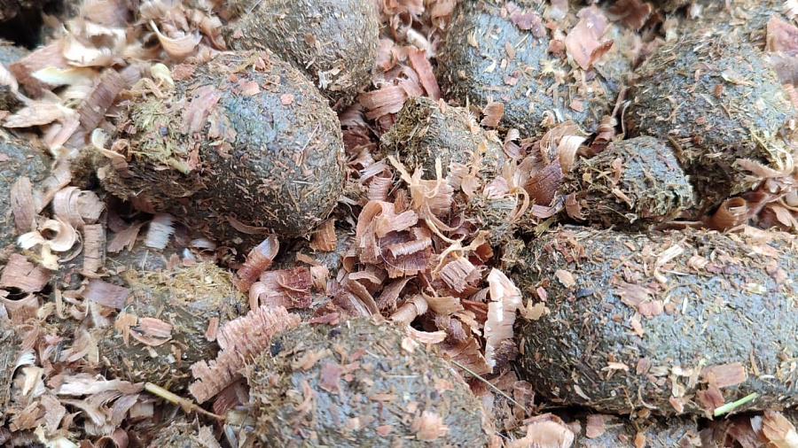 Арендатор земли на Кубани заплатит миллионы за порчу почвы отходами животноводства