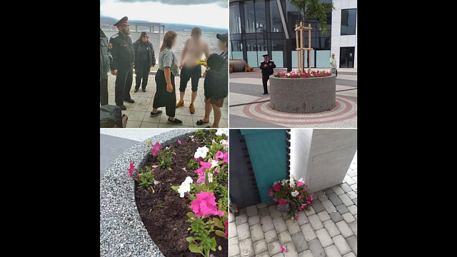 В Новороссийске казаки задержали вандала, разорившего городские клумбы с цветами