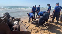Водолазы подняли 73 мешка мазута у берега Джемете и продолжают чистку моря