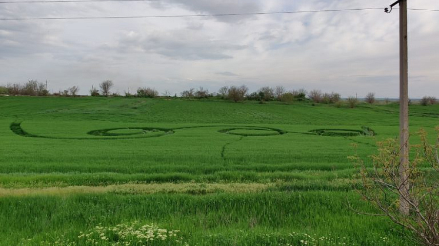 Загадочные гигантские круги появились на полях в Краснодарском крае 
