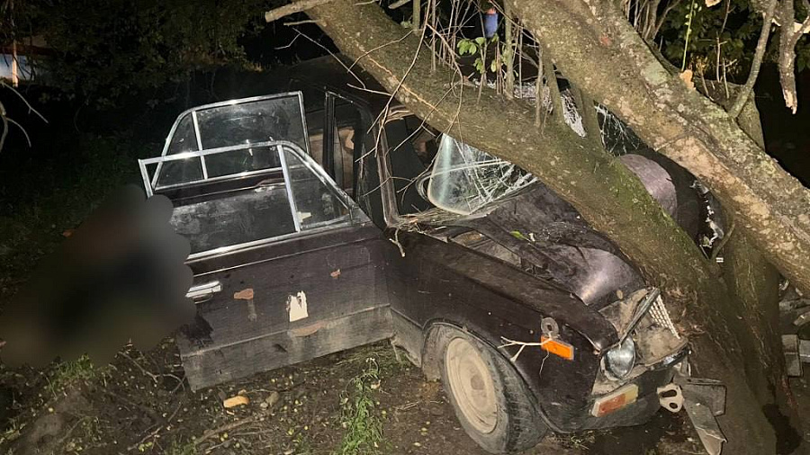 В Краснодарском крае водитель ВАЗа погиб в ДТП с деревом
