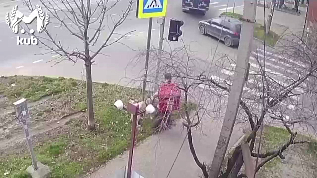 В Краснодаре у слабовидящей женщины заберут собаку-поводыря