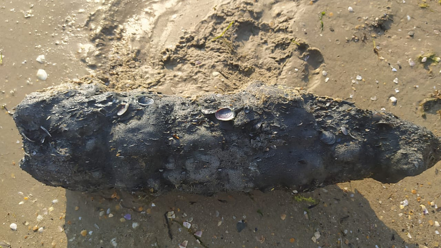 В Анапе на пляже нашли артиллерийский снаряд времен ВОВ со следами сильной коррозии