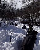 Расчищается Шаумянский перевал, восстанавливается свет в Северском районе: Кубань остается в плену снега