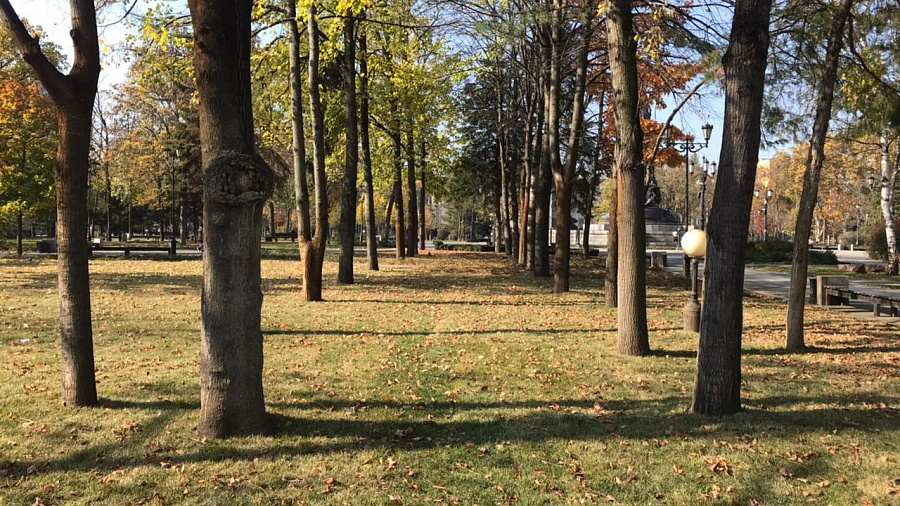 В Краснодаре и крае в конце рабочей ожидается очень теплая погода днем, местами заморозки ночью с туманом и порывистым ветром