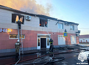 Жителей Анапы напугало горящее дерево и искрящиеся провода 