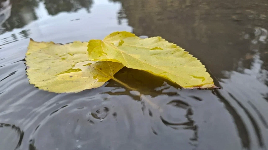 В Краснодарском крае циклон принес дожди и мокрый снег