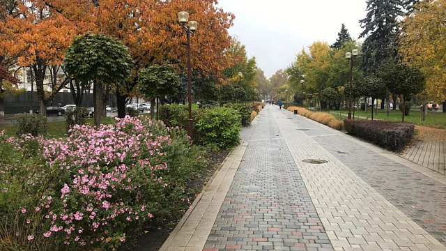 В Краснодаре и крае 14 ноября прогнозируют неустойчивую погоду с дождями, мокрым снегом в горах и понижением температуры