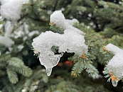 В гостиничном комплексе в Сочи, где отравились юные спортсмены, нашли нарушения 