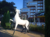 Краснодар окутал вредный смог — сероводород и пыль превысили норму