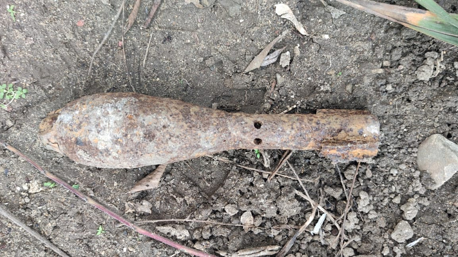 В Краснодарском крае грибник нашел в лесу две мины