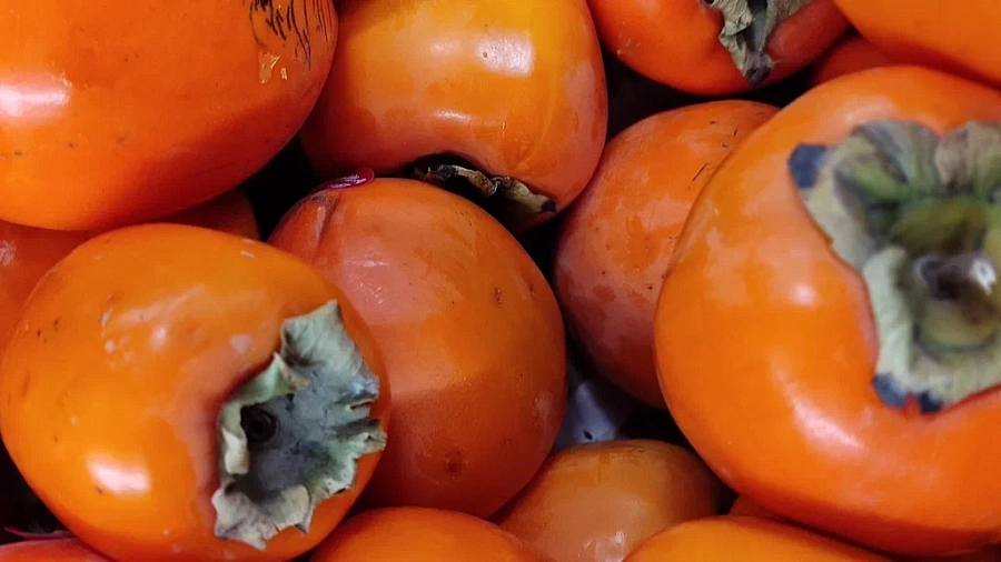 Почти 19 тонн зараженной хурмы обнаружили на складе в Краснодаре