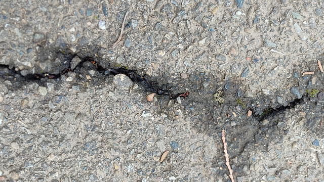 На Кубани и в Крыму прогнозируют разрушительное землетрясение 