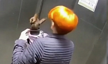 В Краснодаре лифт с женщиной и собакой внутри сорвался с 6 этажа