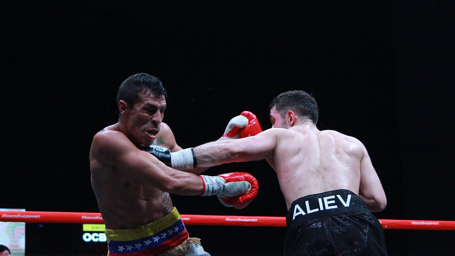 Алиев против Манзанилло: в Краснодаре прошел благотворительный турнир по боксу 