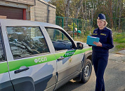 В Сочи снесли домик для туристов после вмешательства приставов