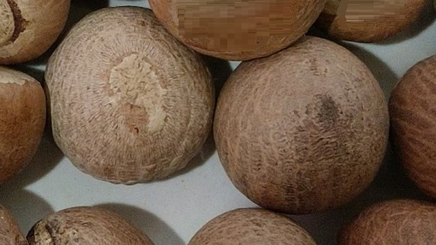 Российские подростки массово покупают опасный наркотический бетельный орех