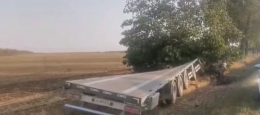 В Каневском районе грузовик врезался в дерево, водитель погиб 