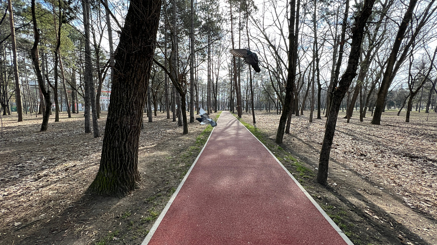 В Краснодаре и крае в конце рабочей недели погода порадует устойчивым теплом до +17°С с незначительной облачностью