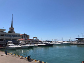 В Сочи,  а также на курортах Кубани 9 марта погода порадует устойчивым теплом, солнцем и умеренным ветром