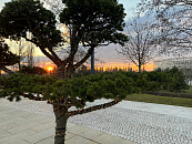 В Краснодаре и крае в субботу ожидается малооблачная и ветреная погода с резкими температурными колебаниями