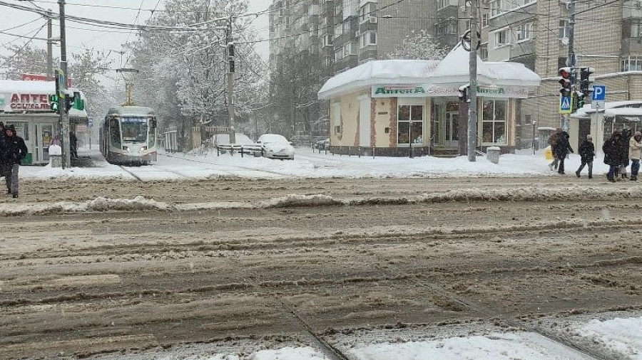 ГИБДД завела дело на чиновников Краснодара за катки и хаос на дорогах