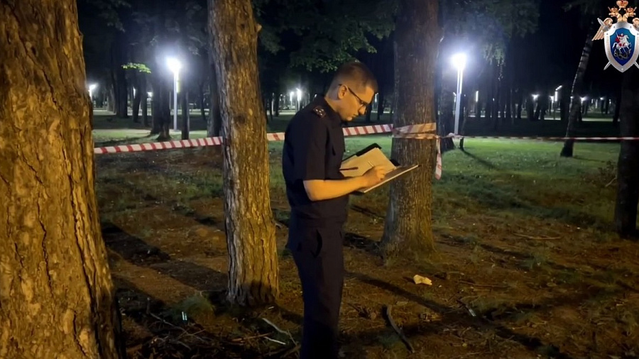 Мужчина в парке Краснодара убил прохожего одним ударом ножа