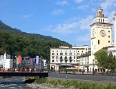 В Сочи спасли «волка», сбитого поездом