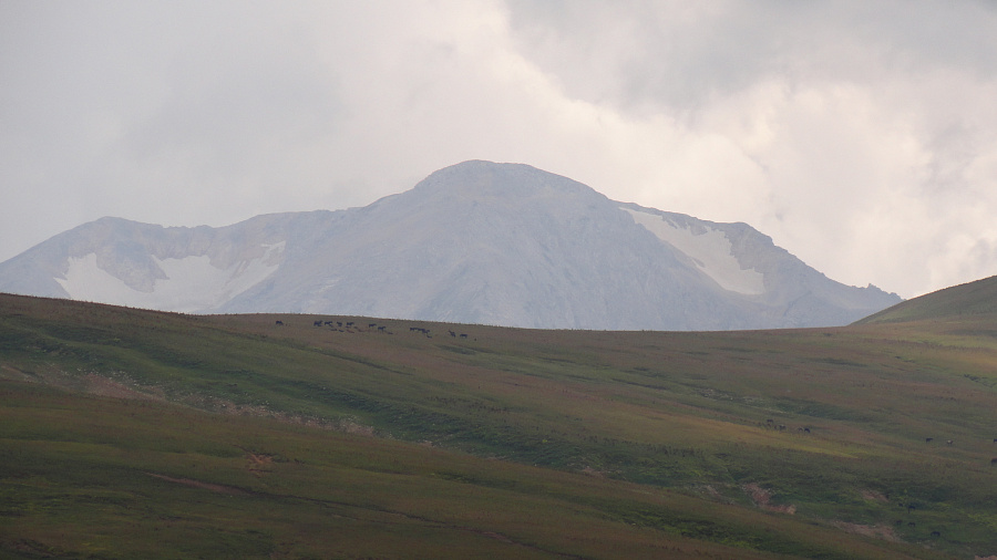 В районе Даховской, а также горных курортах Адыгеи и Кубани во вторник погода сохранит весенний сценарий: дожди, ливни и до +14°С