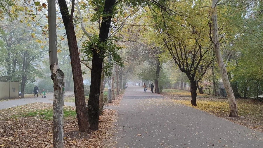 В Краснодарском крае похолодает на 10 градусов