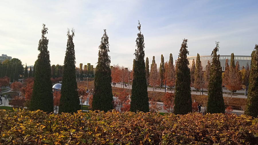 В Краснодаре и крае в конце рабочей недели погода сохранит тёплый осенний сценарий