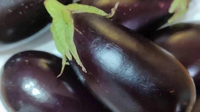 Живого трипса нашли в баклажанах из Ирана на Кубани