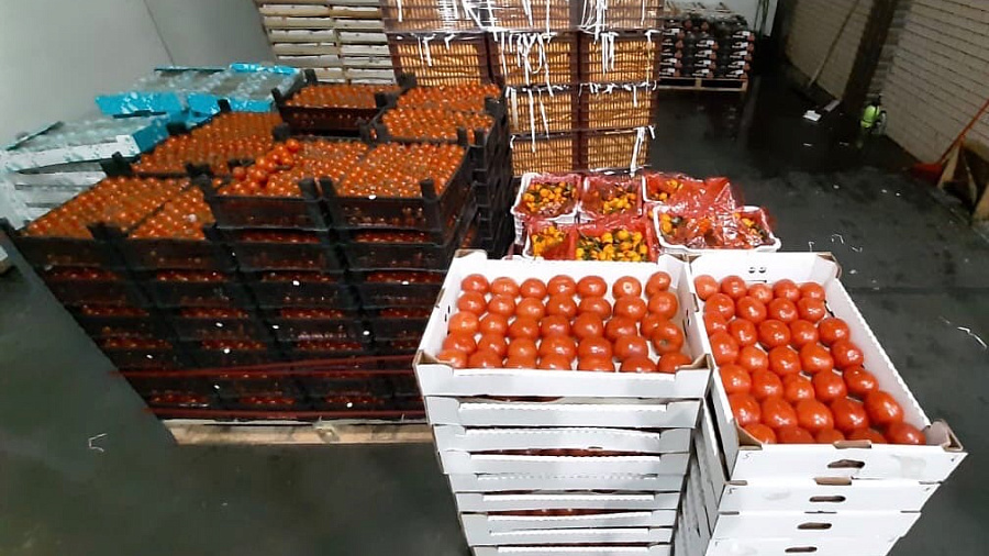 Испанские помидоры и греческие мандарины: Краснодарская таможня арестовала 650 кг санкционных продуктов