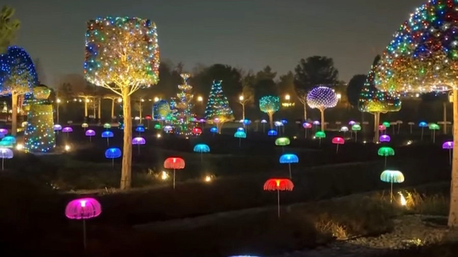 Парк Галицкого в Краснодаре стал «московским»