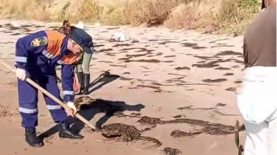 Мазут выбросило на берег Темрюкского района