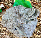 Волонтеры нашли пальмовое масло на берегу Черного моря на Кубани