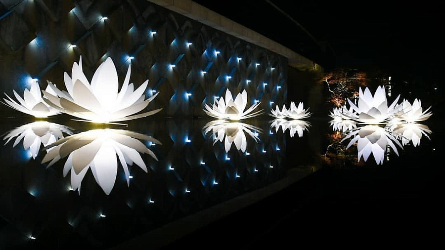 В парке «Краснодар» с водоёмов убирают светящиеся лотосы