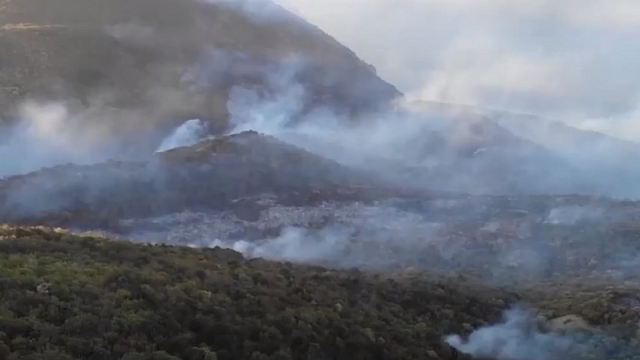 В Краснодарском крае вынесли приговор директору заповедника «Утриш» по делу о крупном лесном пожаре
