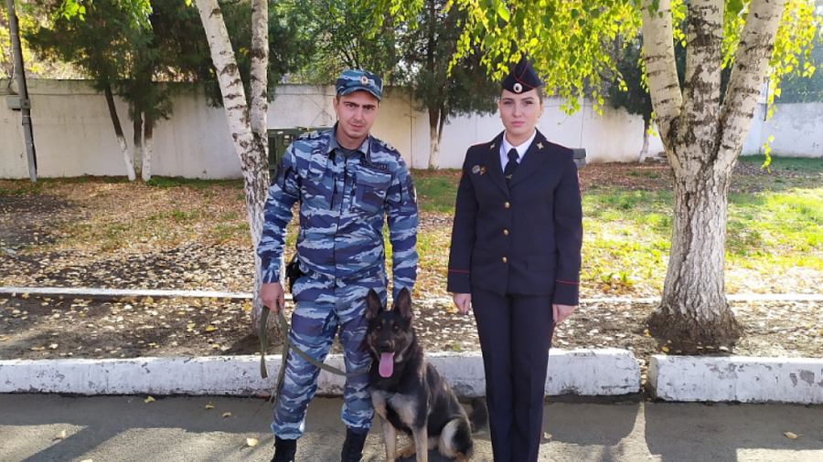 В Краснодарском крае служебно-розыскная собака помогла найти женщину с психическим заболеванием